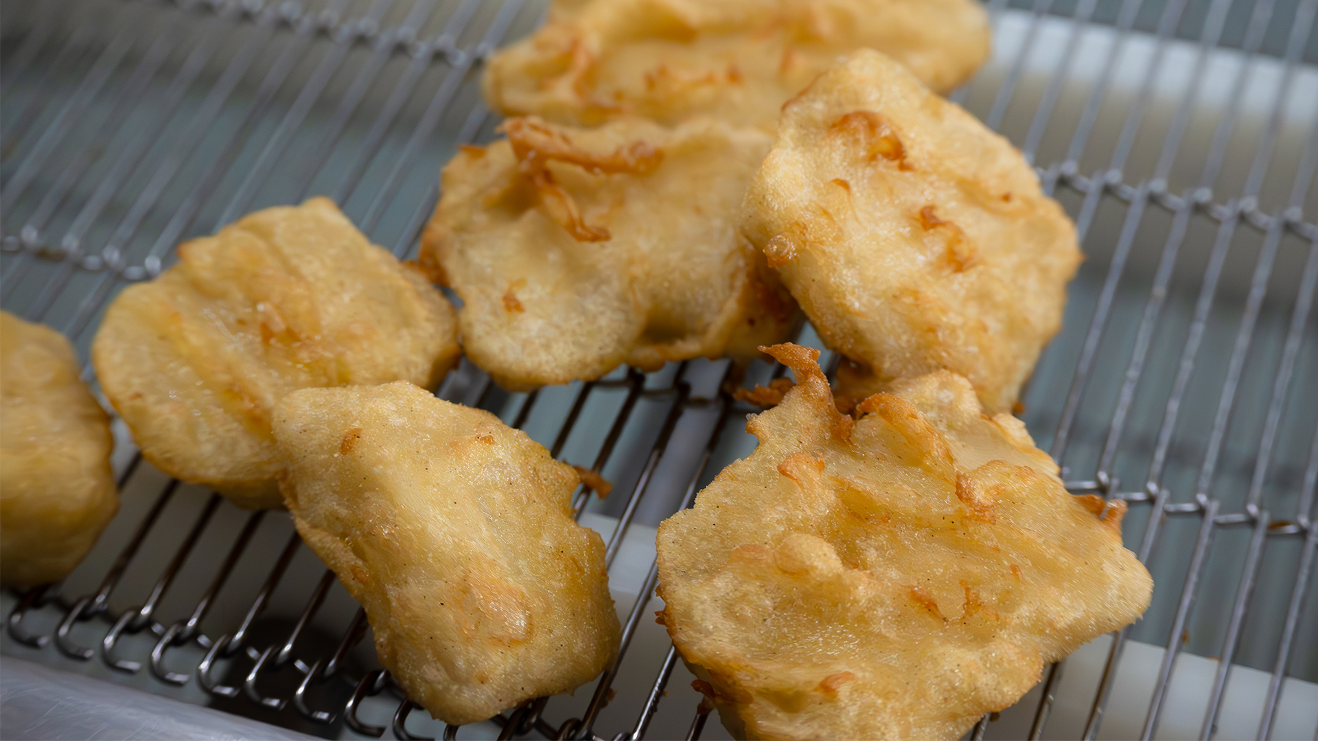 De voorgebakken kibbeling voor ze ingevroren worden 