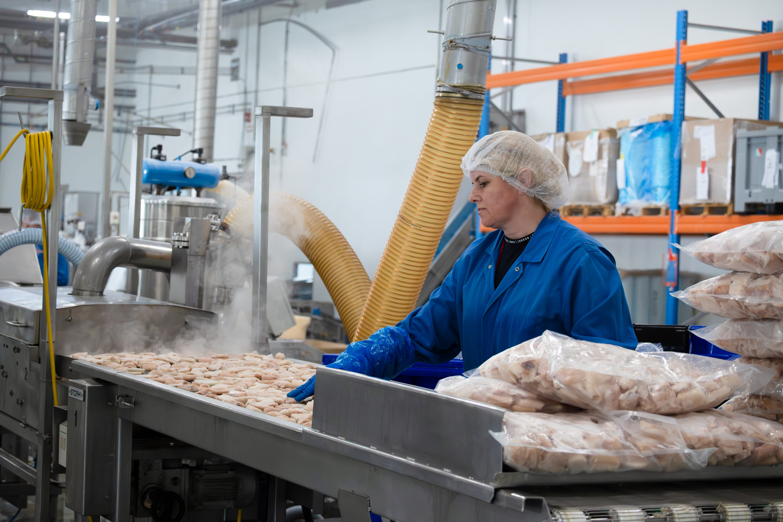 Het voorbereiden van de vis